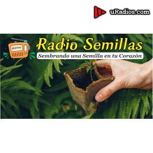 Radio Radio semillas