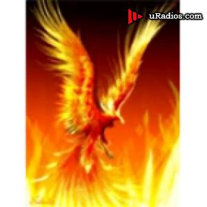 Radio Radio Fenix 105.9