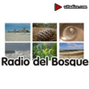 Radio Radio Del Bosque 92.3