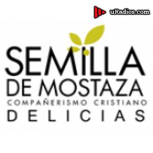 Radio Radio Semilla Delicias