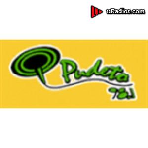 Radio Radio Pudeto 98.1