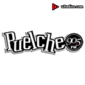 Radio Puelche FM 90.5