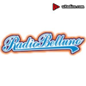Radio Radio Belluno 95.00