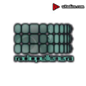 Radio Radio Pellenera