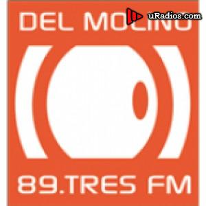 Radio Del Molino FM 89.3