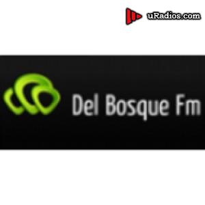 Radio Del Bosque  FM 100.5