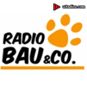Radio Radio Bau & Co.