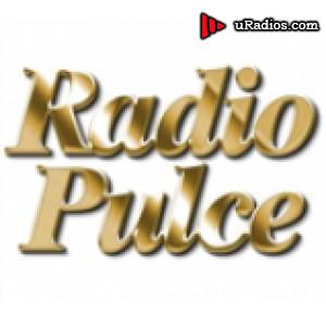 Radio Radio Pulce 99.1