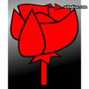 Radio Radio Rosa 90.4