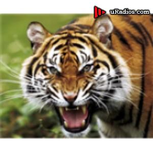 Radio Balam Estereo 98.1