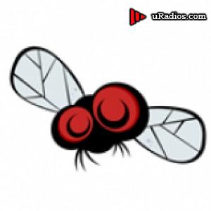 Radio My Fly Radio