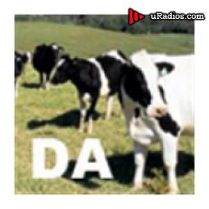 Radio Dary Air Radio