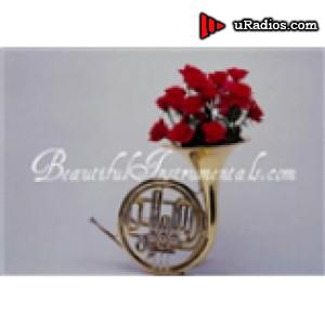 Radio beautiful instrumentals