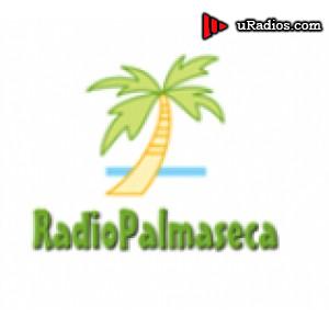 Radio Radio Palmaseca