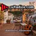 Amanecer flamenco