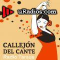 Callejón del cante