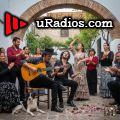 Los hilos del cante